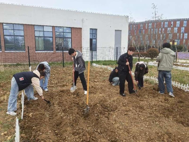 我部25级学生积极开展特色劳动...